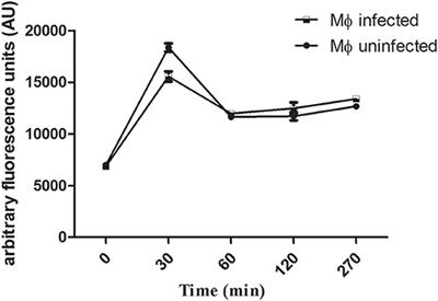 Sertraline Delivered in Phosphatidylserine Liposomes Is Effective in an Experimental Model of Visceral Leishmaniasis